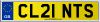 CL21 NTS