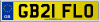 GB21 FLO
