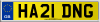 HA21 DNG
