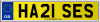 HA21 SES