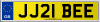 JJ21 BEE