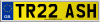 TR22 ASH