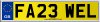 FA23 WEL