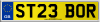 ST23 BOR