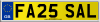 FA25 SAL