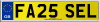 FA25 SEL