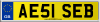 AE51 SEB