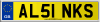 AL51 NKS