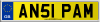 AN51 PAM