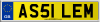 AS51 LEM