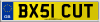 BX51 CUT