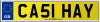CA51 HAY
