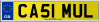 CA51 MUL