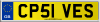 CP51 VES