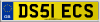 DS51 ECS