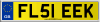 FL51 EEK