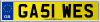 GA51 WES