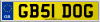 GB51 DOG