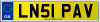 LN51 PAV