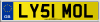 LY51 MOL