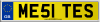 ME51 TES