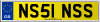 NS51 NSS