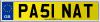 PA51 NAT