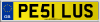 PE51 LUS