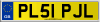 PL51 PJL