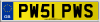 PW51 PWS