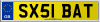 SX51 BAT