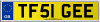 TF51 GEE