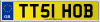 TT51 HOB