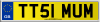 TT51 MUM