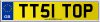 TT51 TOP