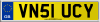 VN51 UCY