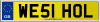 WE51 HOL