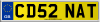 CD52 NAT