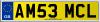 AM53 MCL