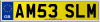 AM53 SLM