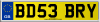 BD53 BRY