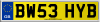 BW53 HYB
