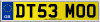 DT53 MOO