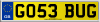 GO53 BUG