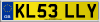 KL53 LLY