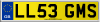 LL53 GMS