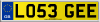 LO53 GEE
