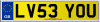 LV53 YOU