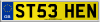 ST53 HEN