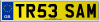 TR53 SAM
